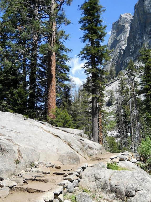 Stony Creek Lodge Sequoia National Park Exterior photo